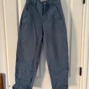 Everlane Barrel Pants
